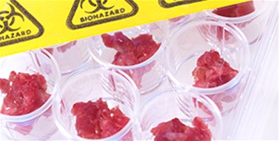 肉類(lèi)加工行業(yè)金屬異物檢測